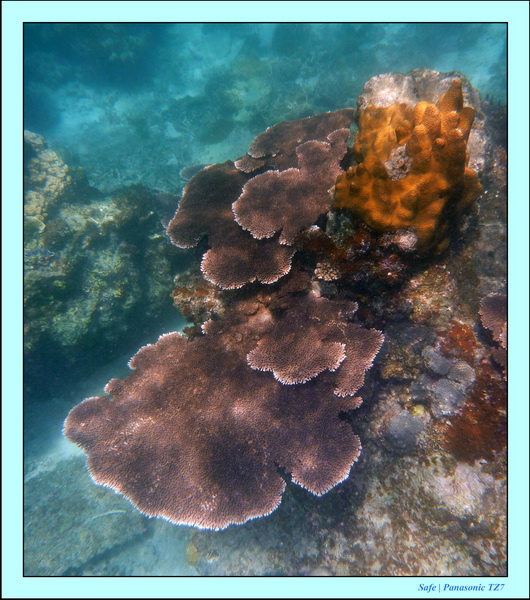 2009   07   Perhentians 064